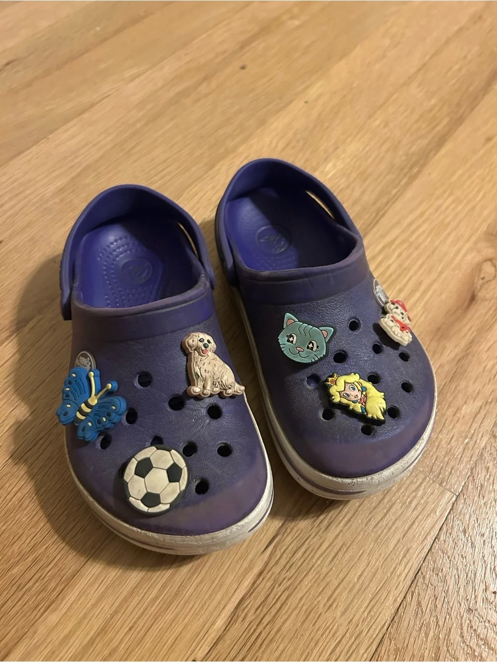 CROCS Kids Purple Slip-On Clogs with Fun Charms